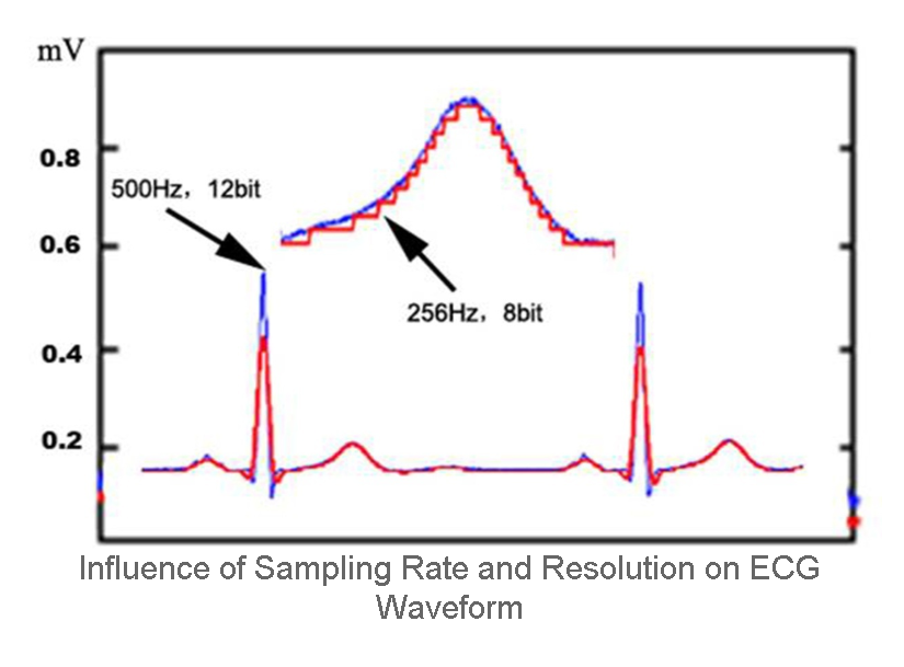 Influence of sampling rate and resolution on ECG waveform