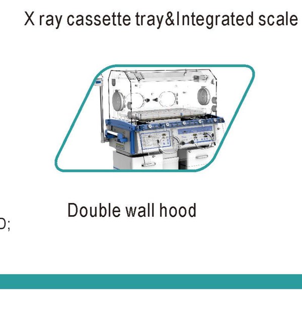 Double wall hood