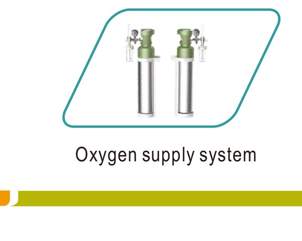 Oxygen supply system