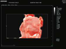 4D Live Rendering 4D